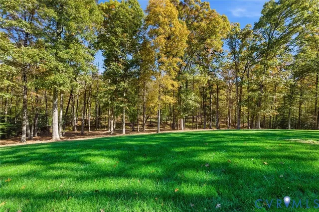 a garden view with trees