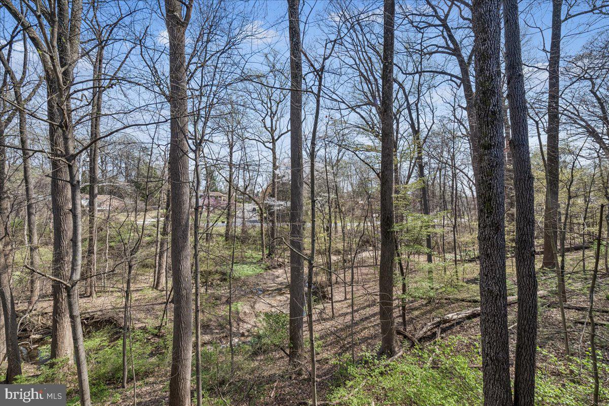 2002 Derby Ridge Lane, Unit 4 Silver Spring, MD 20910 - Photo 41 of 42 View from Deck