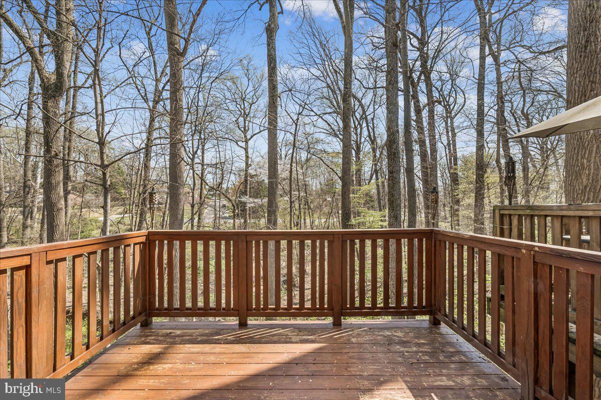2002 Derby Ridge Lane, Unit 4 Silver Spring, MD 20910 - Photo 10 of 42 Rear Deck