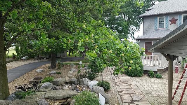 6100 Grove Road Clinton, IL 61727 - Photo 49 of 51