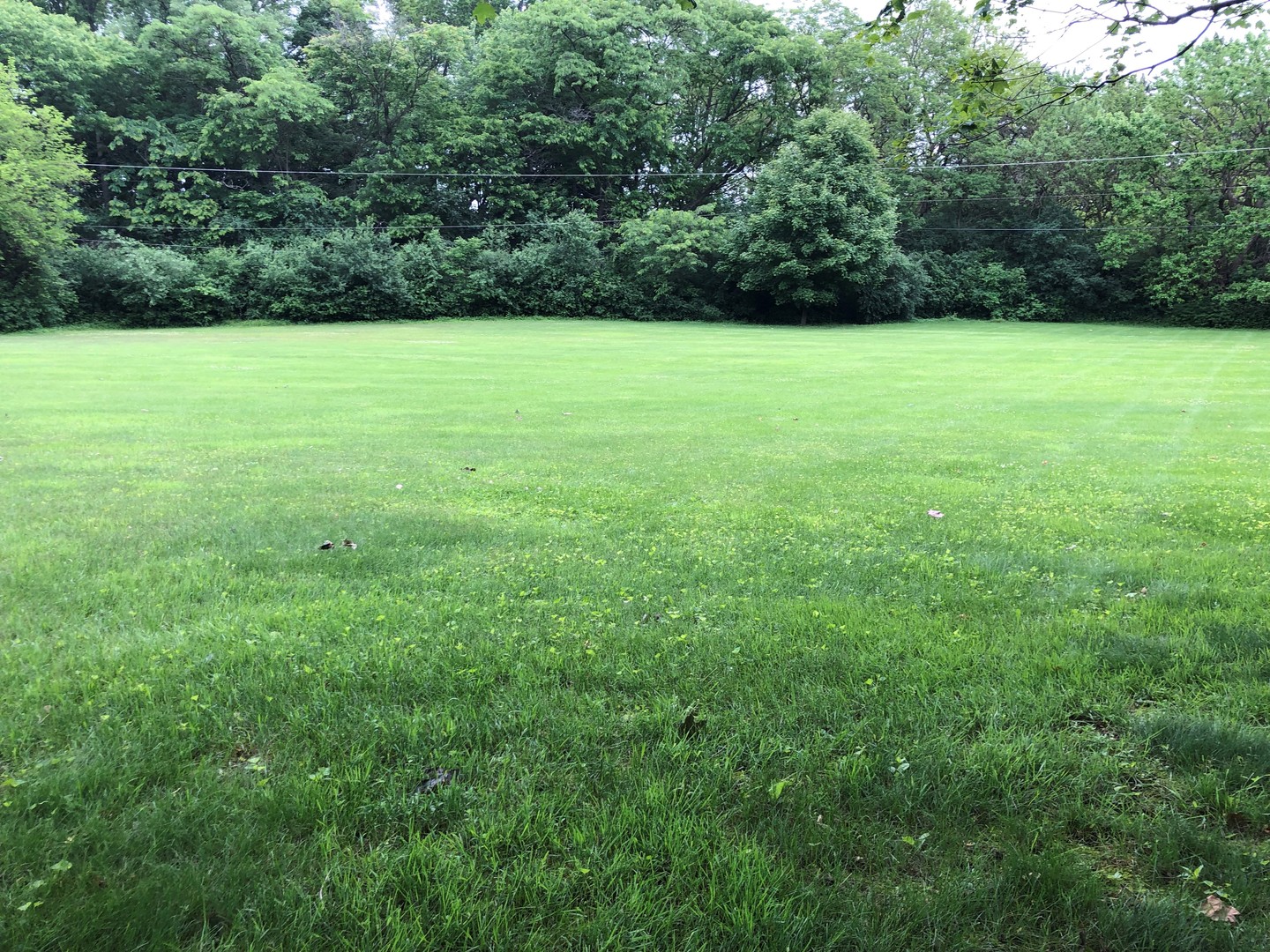 1482 Banbury Road Inverness, IL 60067 - Photo 18 of 24