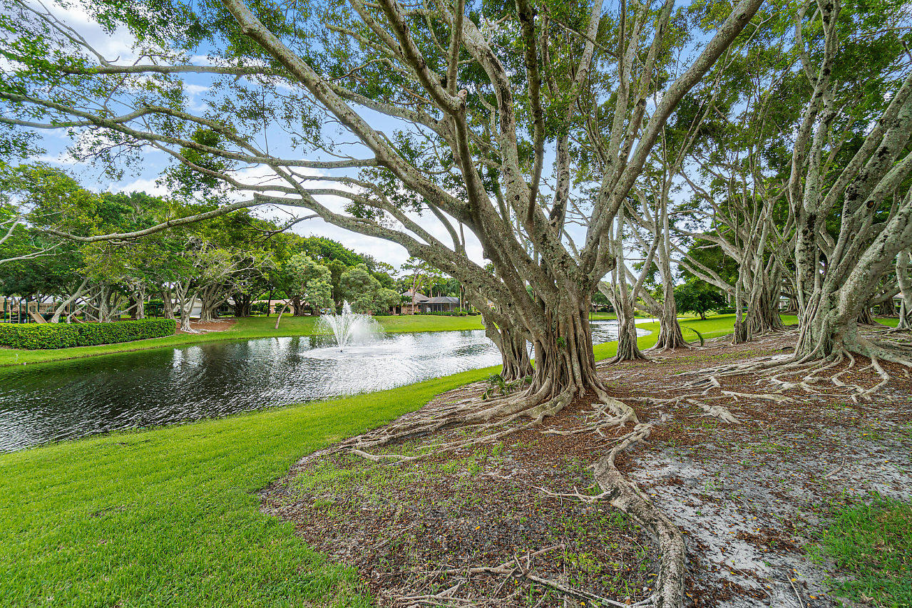3745 Northwest 23rd Court Boca Raton, FL 33431 - Photo 33 of 36 LARGE BANYAN & OAK TREES
