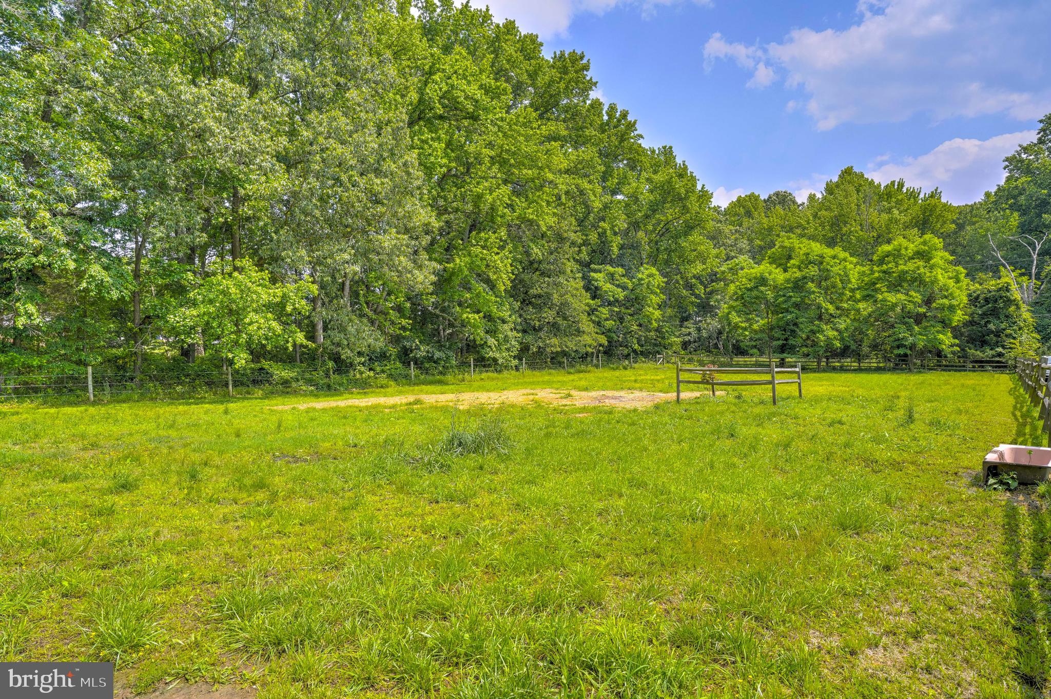 8920 Marshall Corner Road Pomfret, MD 20675 - Photo 25 of 31 a view of a large yard with a large trees