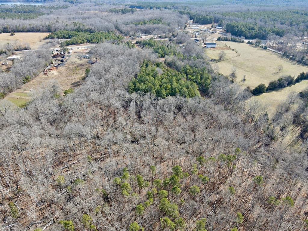 0 Neely Ferry Road Gray Court, SC 29645 - Photo 3 of 23 Gallery Image 3