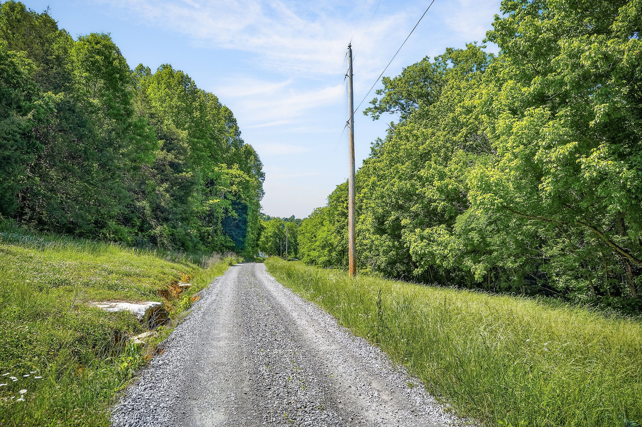 16130 Buffalo Valley Road Silver Point, TN 38582 - Photo 18 of 47 a view of a yard with plants and large trees
