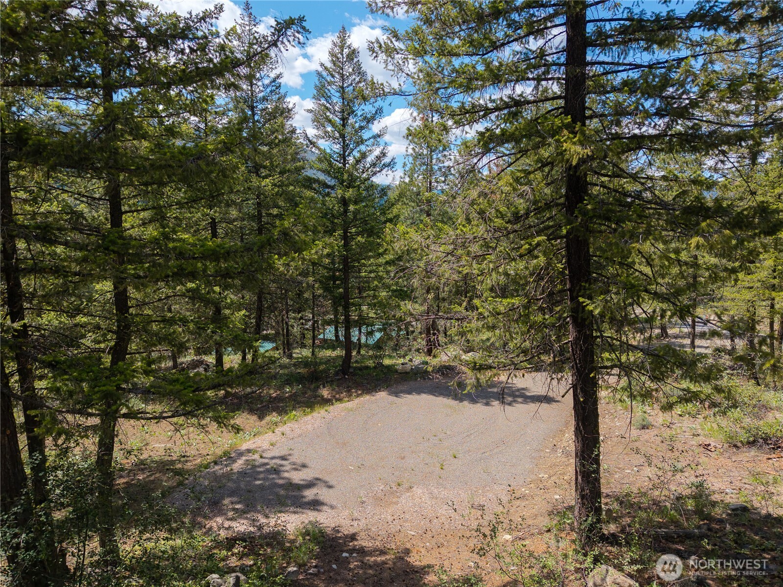 6 Homestead Road Winthrop, WA 98862 - Photo 5 of 40 a view of a tree with a yard