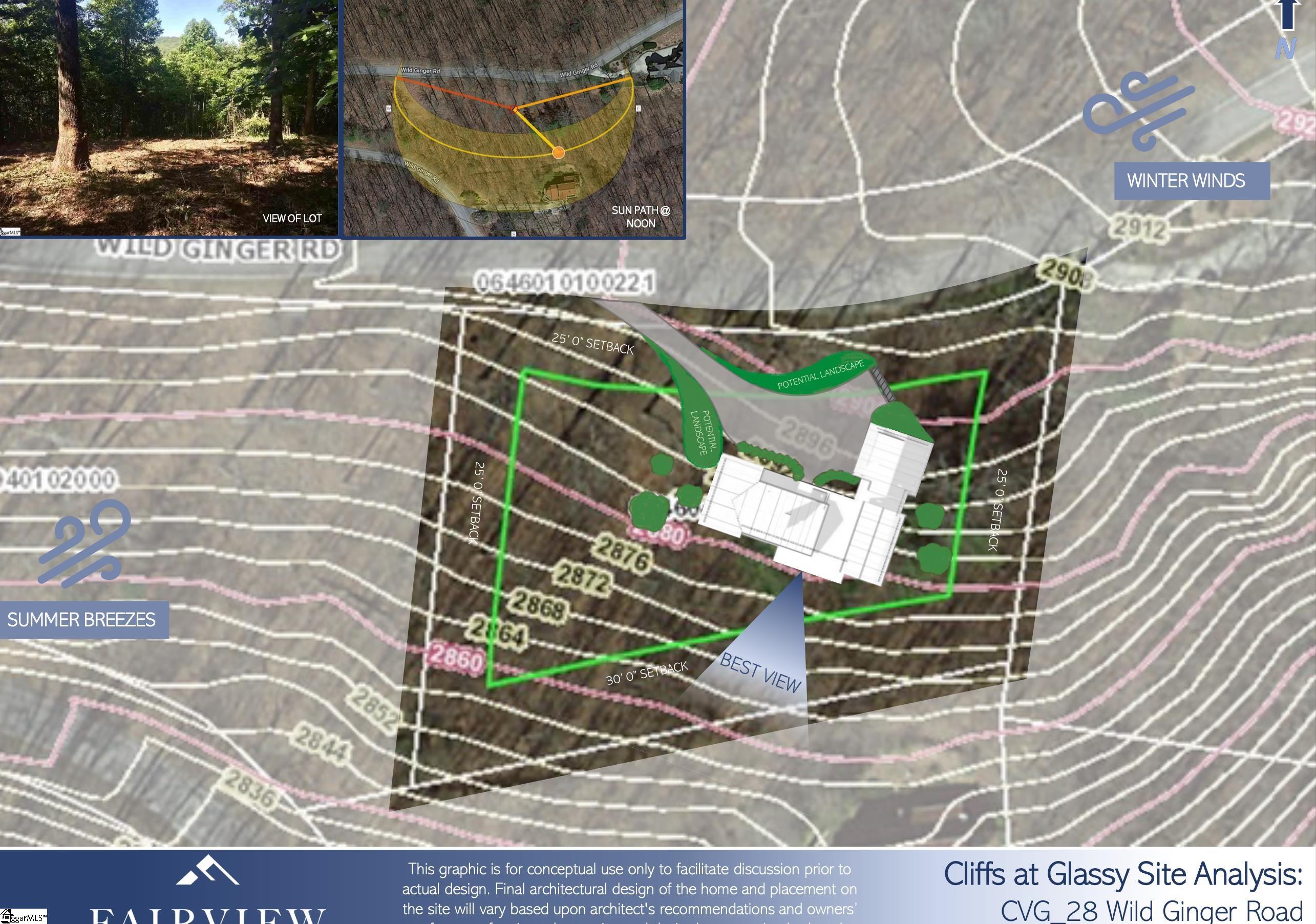 28 Wild Ginger Road Landrum, SC 29356 - Photo 4 of 4