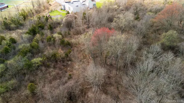 a view of a lake from a forest