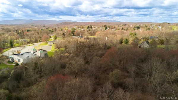 a view of a forest with a houses