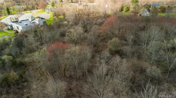 a view of a yard with trees
