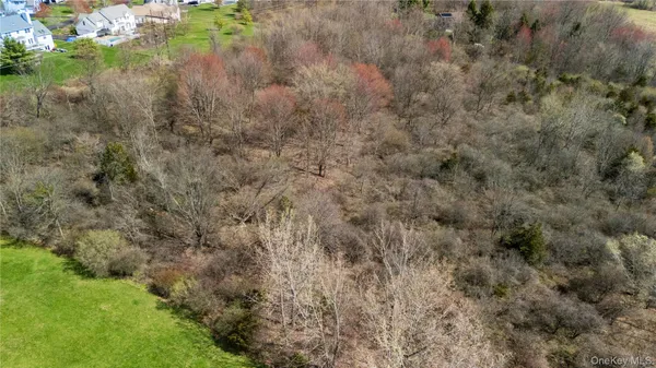 an aerial view of residential houses with outdoor space and trees