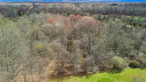 a view of a lake from a yard