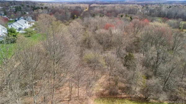 a view of a dry yard