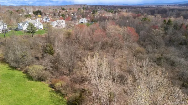 a view of a forest with a lush green forest
