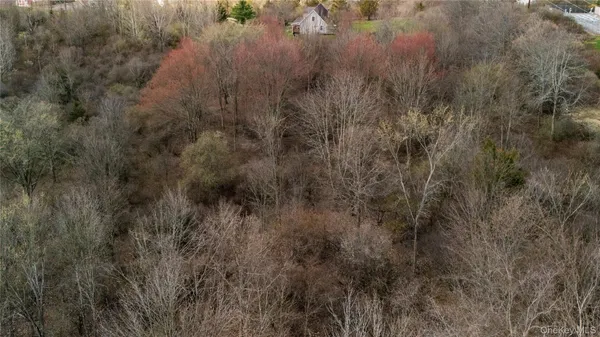 a view of yard with ocean view
