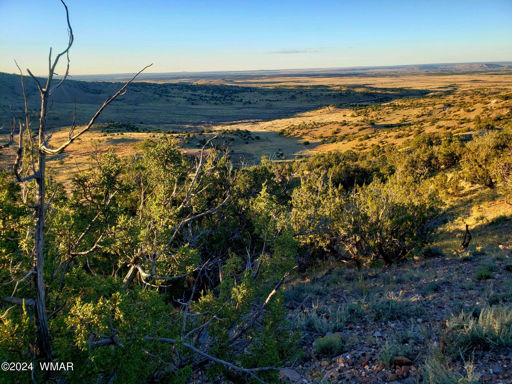 114 County Road Concho, AZ 85924 - Photo 1 of 10 114 County Road 5062