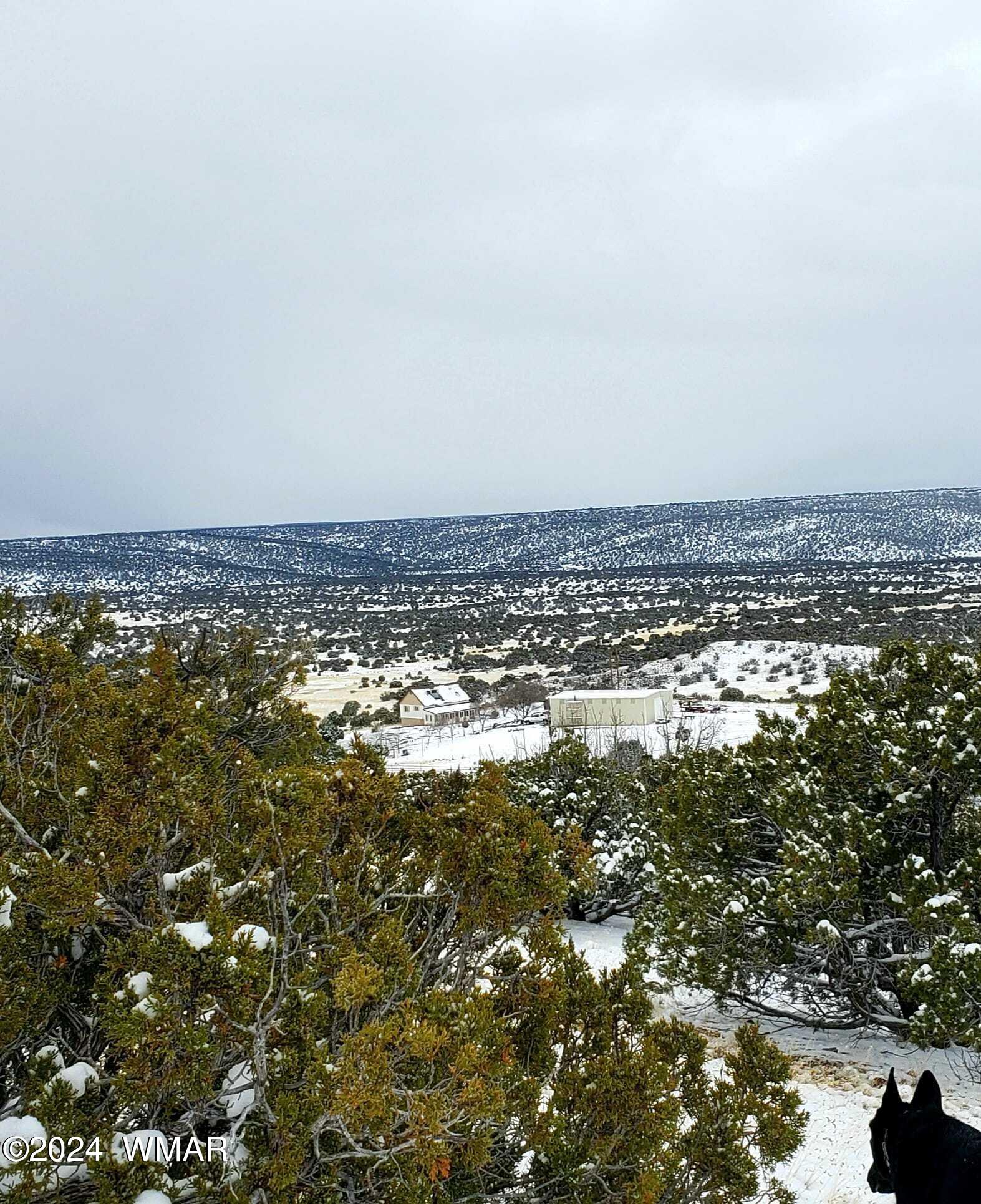 114 County Road Concho, AZ 85924 - Photo 4 of 10 Valley View