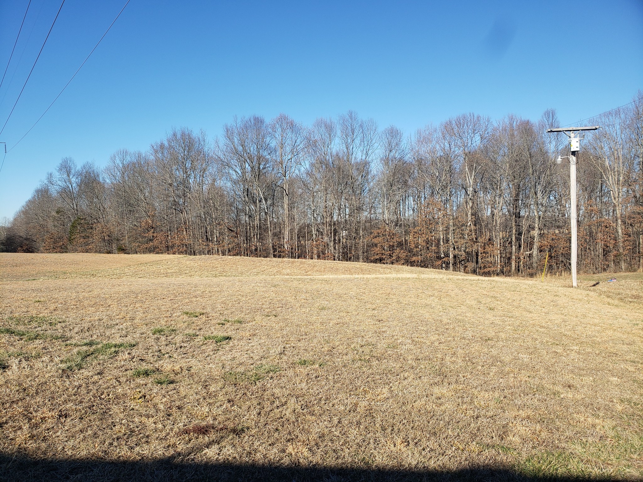 309 Running Meadows Road Portland, TN 37148 - Photo 3 of 33
