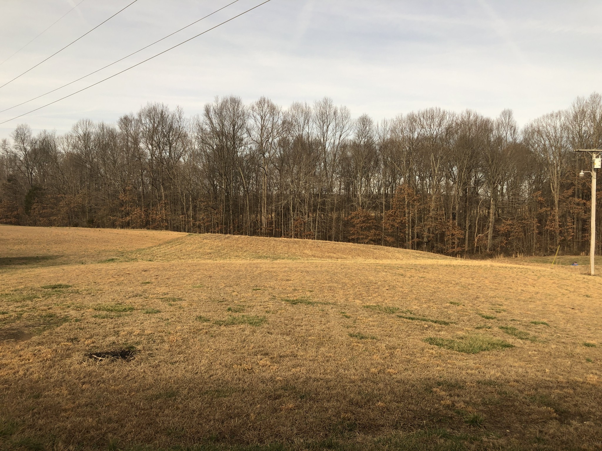 309 Running Meadows Road Portland, TN 37148 - Photo 32 of 33