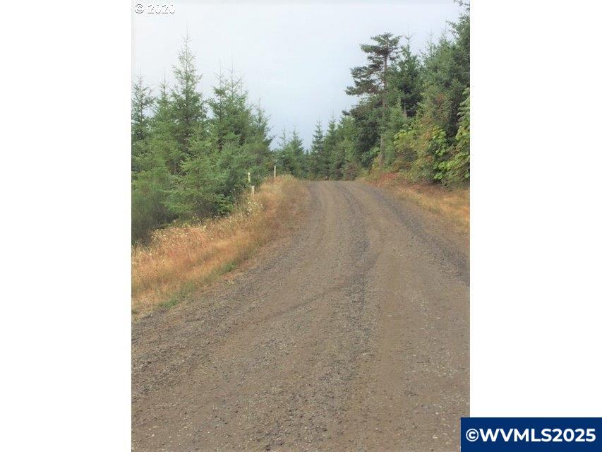 Northwest Ridge Road Forest Grove, OR 97116 - Photo 6 of 8
