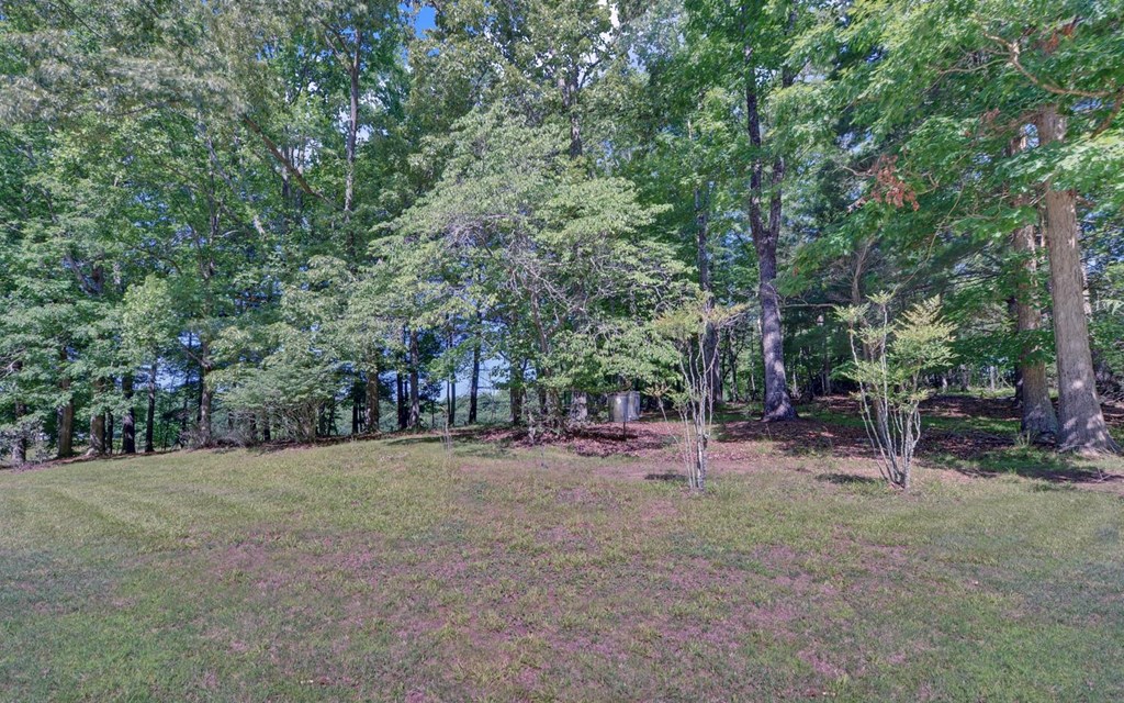 517 Paul Nicholson Road Blairsville, GA 30512 - Photo 29 of 31