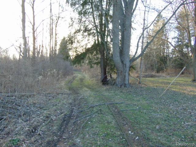 0 McKay Road Romeo, MI 48065 - Photo 6 of 24