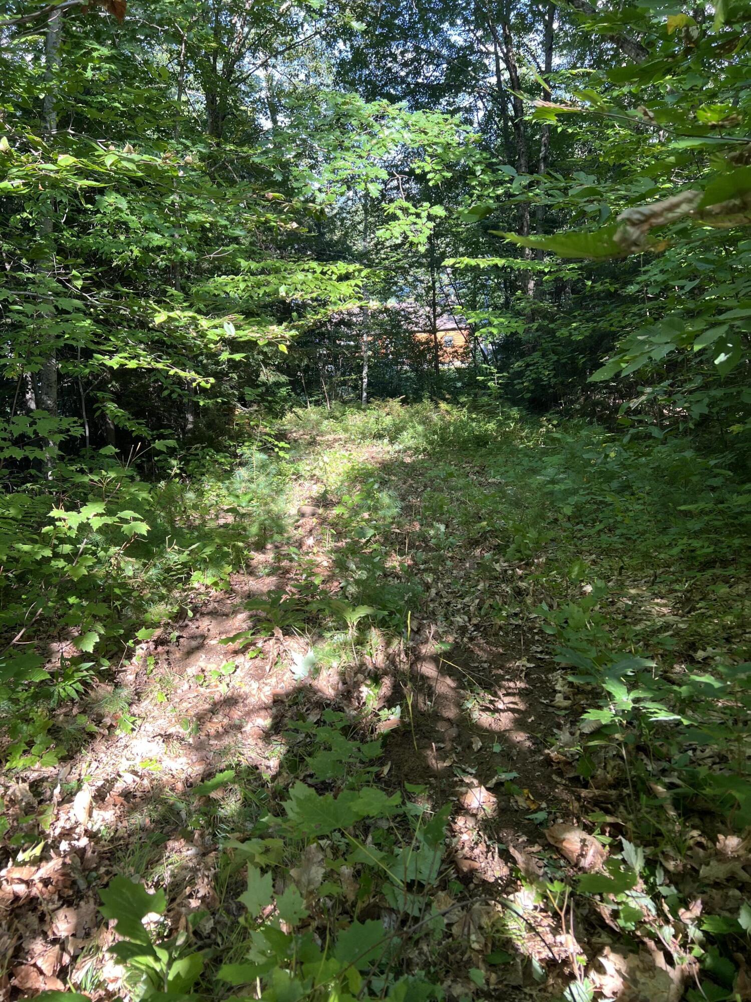 Lot 9 Songo Pond Road Bethel, ME 04217 - Photo 6 of 14 IMG_4093