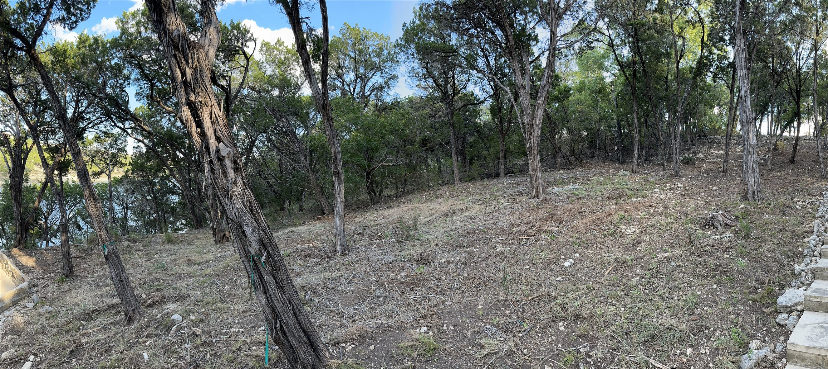 4613 Destination Way Jonestown, TX 78645 - Photo 6 of 14 a view of a forest with trees in the background