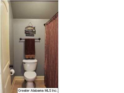 447 Ronny Lane Springville, AL 35146 - Photo 19 of 22