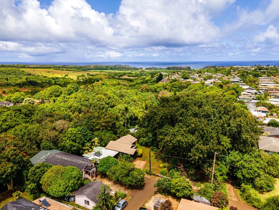 5605 Honua Road Kapaa, HI 96746 - Photo 27 of 30 a view of a yard with plants and a large tree