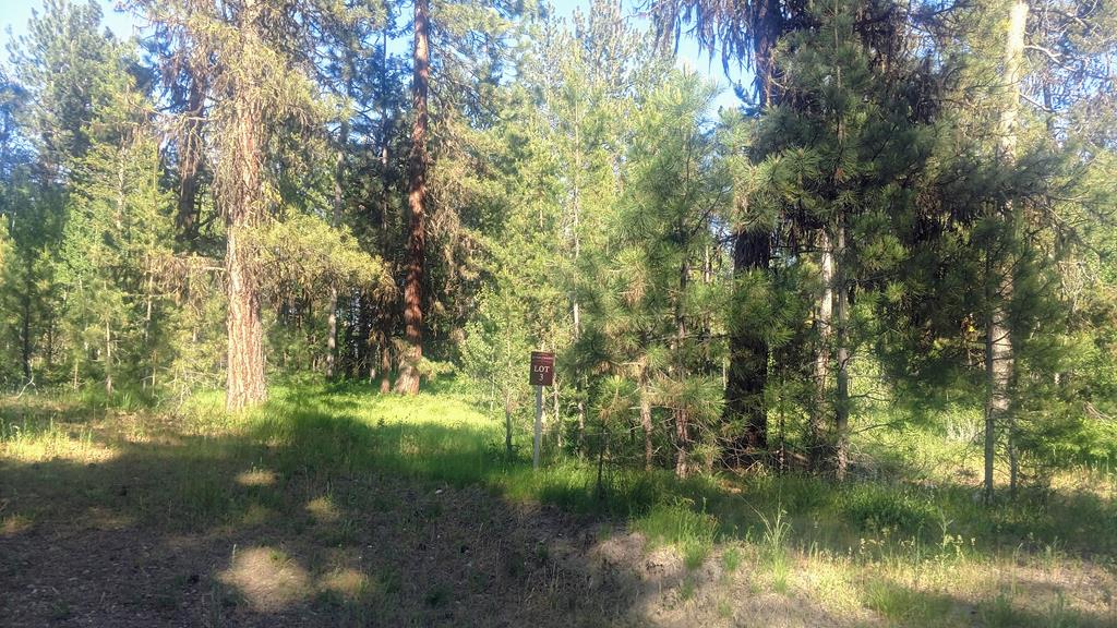 117 Morgan Drive, Unit 3 McCall, ID 83638 - Photo 1 of 1 Main View