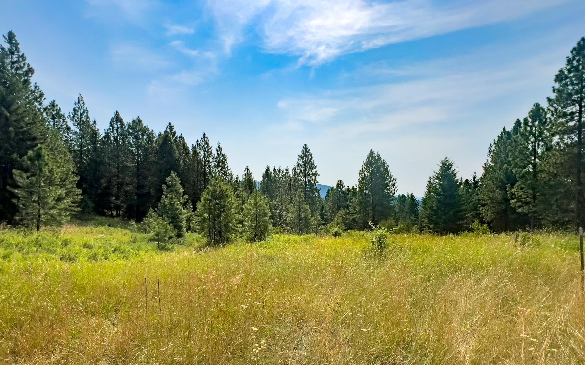 2264 C Scott Road Rice, WA 99167 - Photo 20 of 25