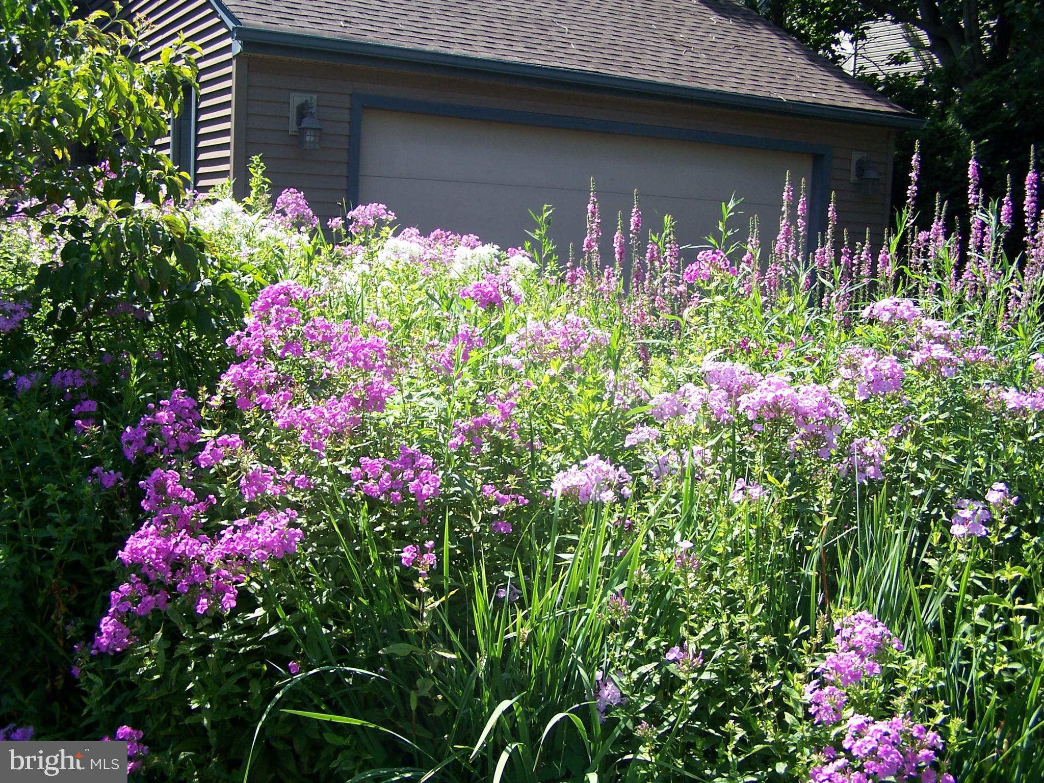 28 Harris Circle Newark, DE 19711 - Photo 42 of 45