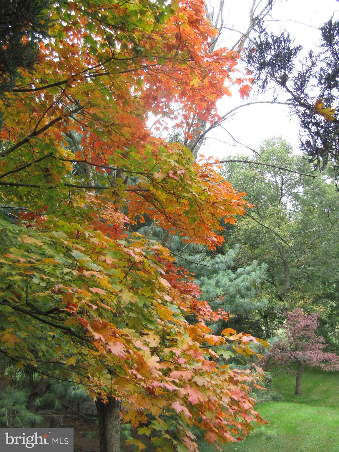 28 Harris Circle Newark, DE 19711 - Photo 45 of 45