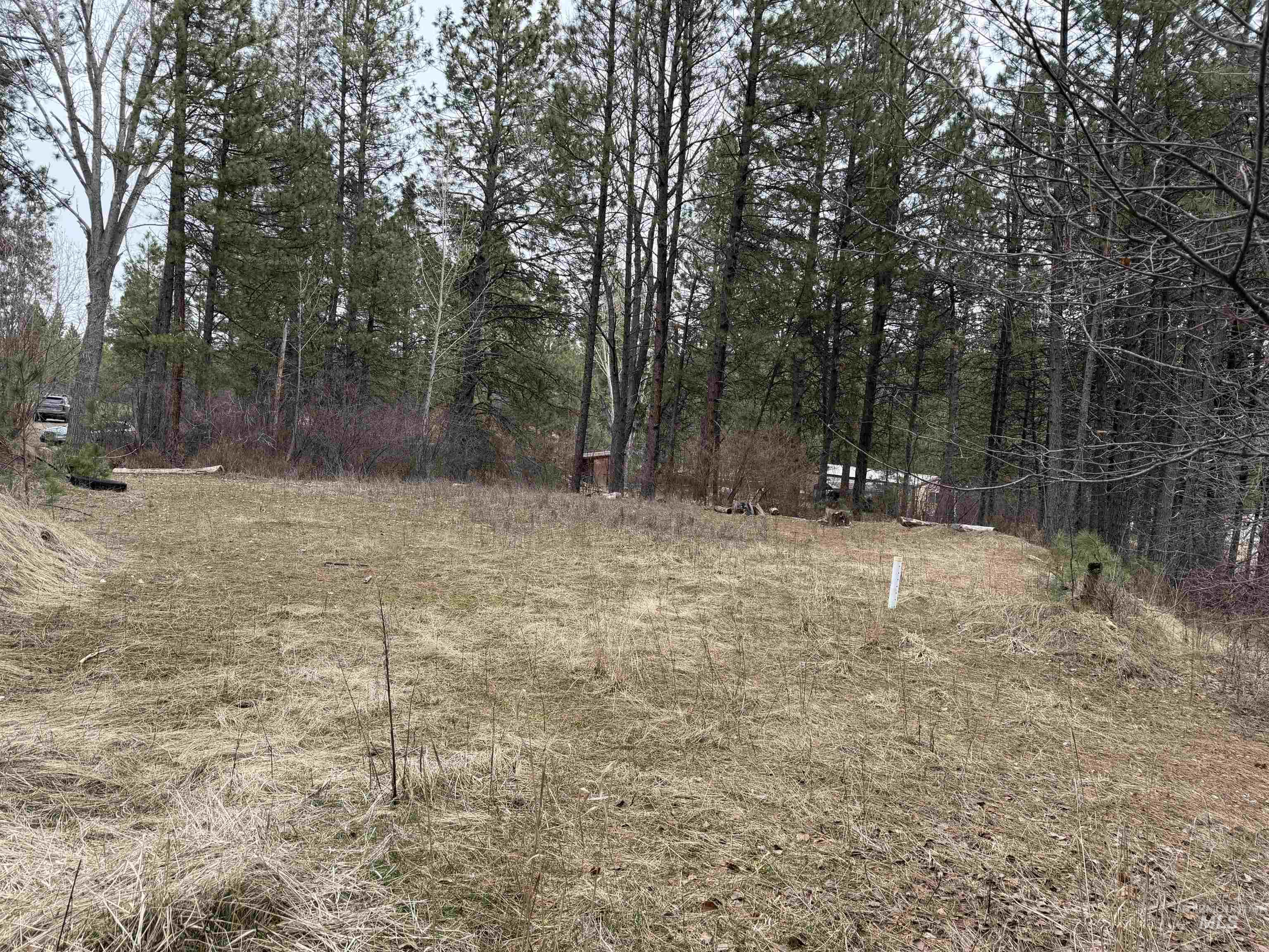 Parcel B South Middlefork Road Garden Valley, ID 83622 - Photo 3 of 12 View of yard
