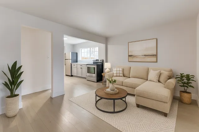 a living room with furniture and a potted plant