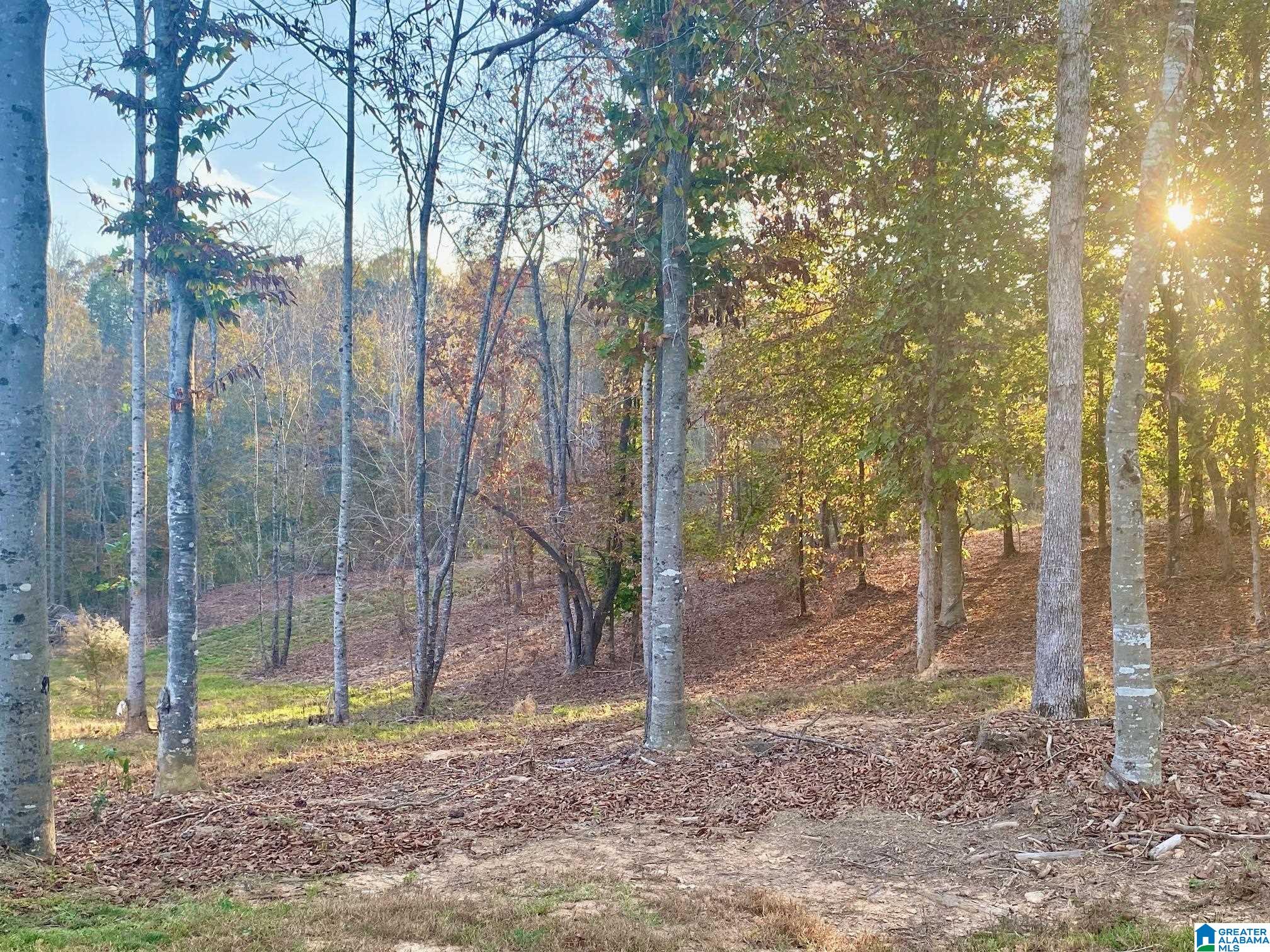 325 County Road 13 Heflin, AL 36264 - Photo 23 of 56