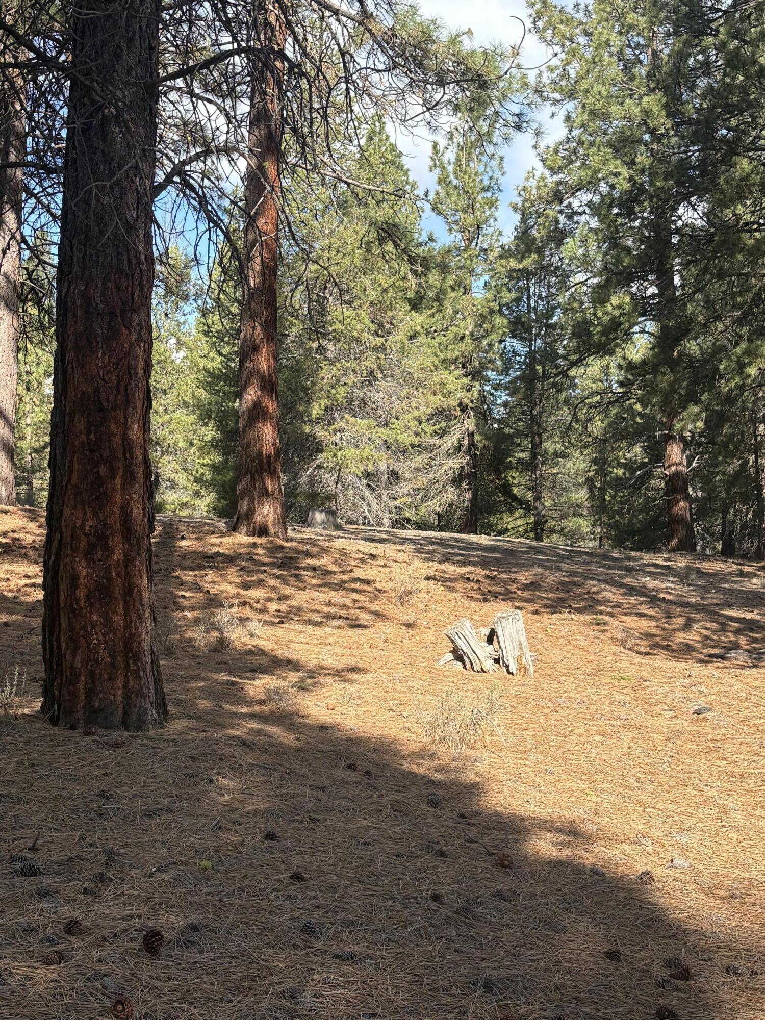 0 Pine Ridge Loop, Unit LOT 5 Chiloquin, OR 97624 - Photo 3 of 8 Land