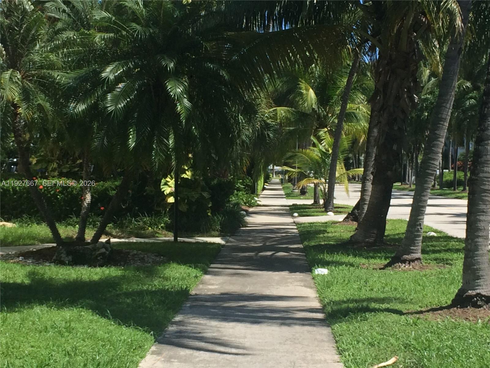 255 Sunrise Drive, Unit 103 Key Biscayne, FL 33149 - Photo 19 of 20 Sidewalk to Beach