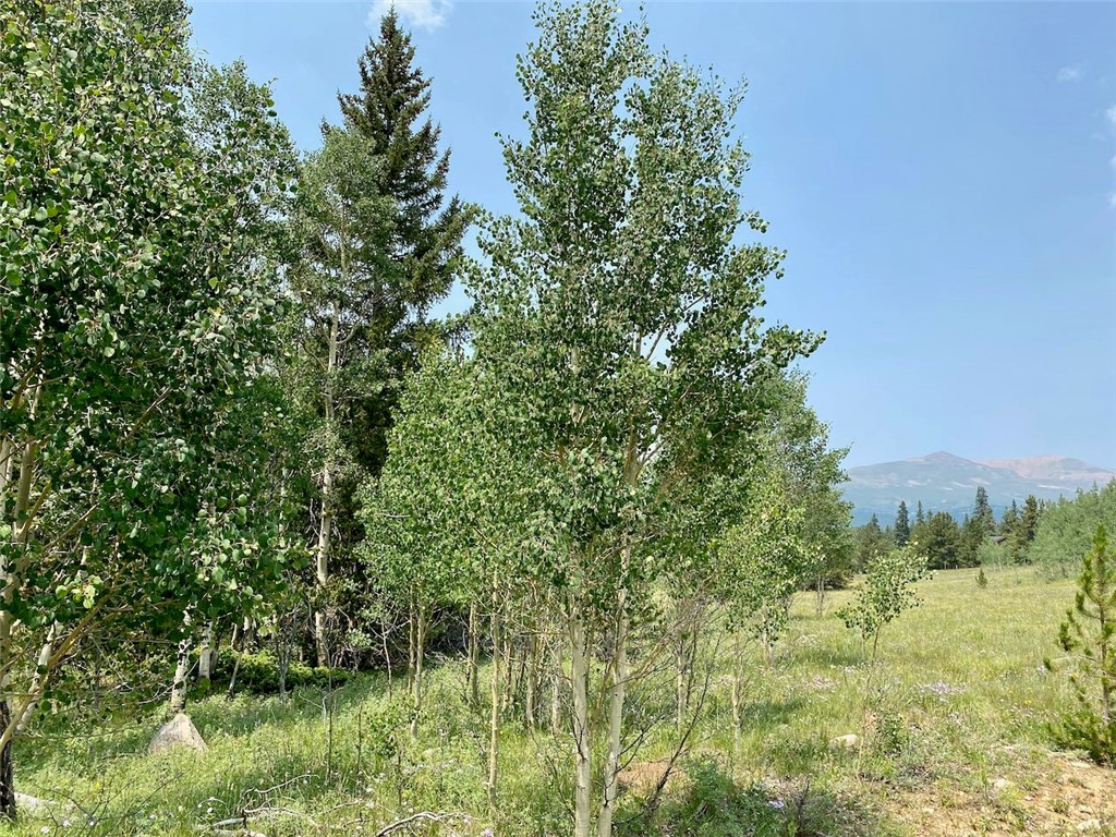 475 Adventure Road Alma, CO 80420 - Photo 15 of 15 Gallery Image 15