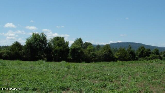 Lot 38 Ranchside Court Rock Island, TN 38581 - Photo 12 of 36 100_0013