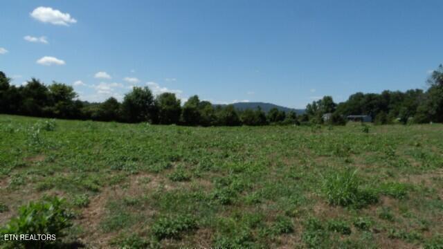Lot 38 Ranchside Court Rock Island, TN 38581 - Photo 13 of 36 100_0014