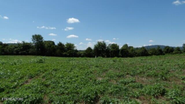 Lot 38 Ranchside Court Rock Island, TN 38581 - Photo 19 of 36 100_0021