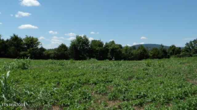 Lot 38 Ranchside Court Rock Island, TN 38581 - Photo 20 of 36 100_0022