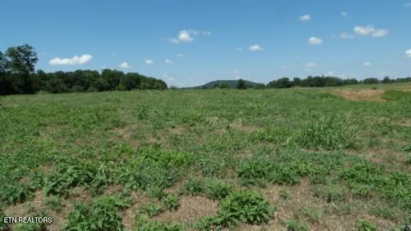 $74,000 | Lot 38 Ranchside Court, Rock Island, TN 38581