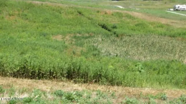 $74,000 | Lot 38 Ranchside Court, Rock Island, TN 38581