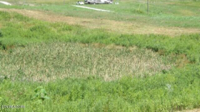 Lot 38 Ranchside Court Rock Island, TN 38581 - Photo 26 of 36 100_0028