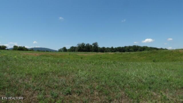 Lot 38 Ranchside Court Rock Island, TN 38581 - Photo 30 of 36 100_0032