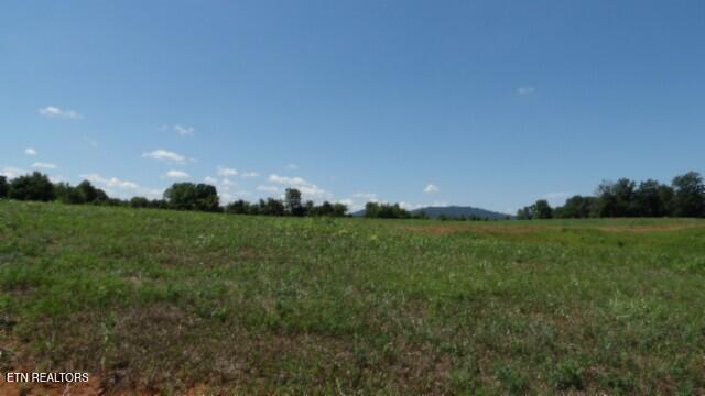 Lot 38 Ranchside Court Rock Island, TN 38581 - Photo 32 of 36 100_0034