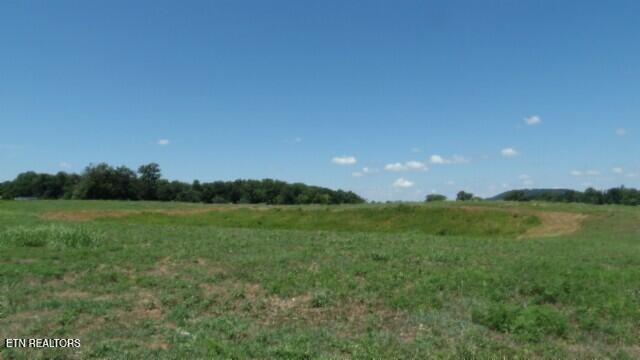 Lot 38 Ranchside Court Rock Island, TN 38581 - Photo 10 of 36 100_0011